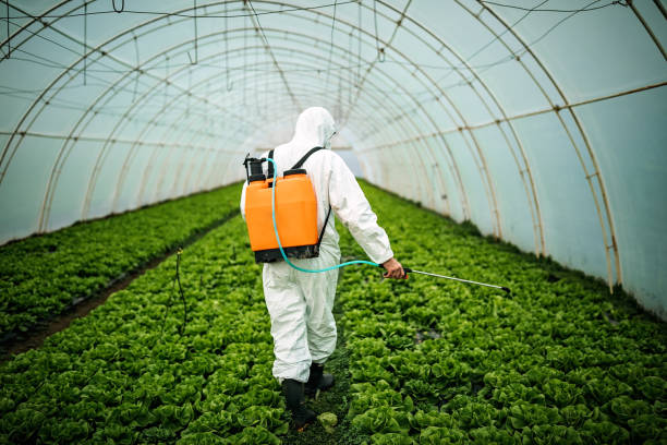Pest Prevention Services in Dunkirk, IN