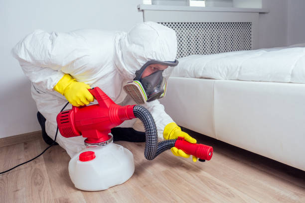 Best Local Pest Control Services  in Dunkirk, IN