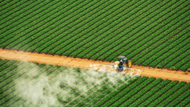 Best Mosquito Control Services  in Dunkirk, IN