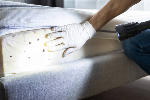Best Pest Inspection Near Me  in Dunkirk, IN