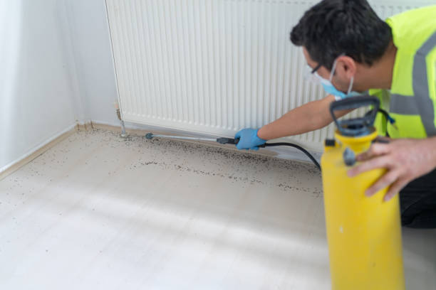 Best Affordable Pest Control Services  in Dunkirk, IN